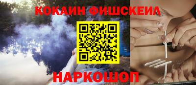 a pvp Камышлов