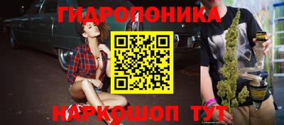 a pvp Камышлов