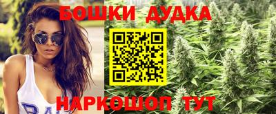 a pvp Камышлов