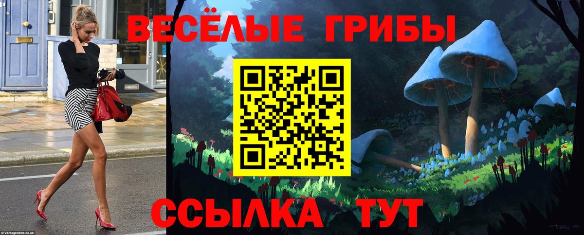 Кисловодск  купить наркотики цена  Вход с VPN  Псилоцибиновые грибы GOLDEN TEACHER 